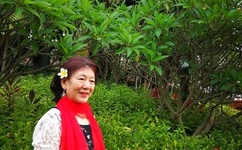 2017最新h无码动漫